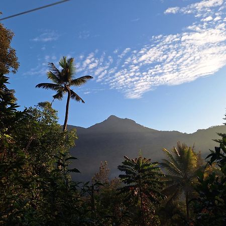 Pepper County Farm Stay Munnar Exterior foto