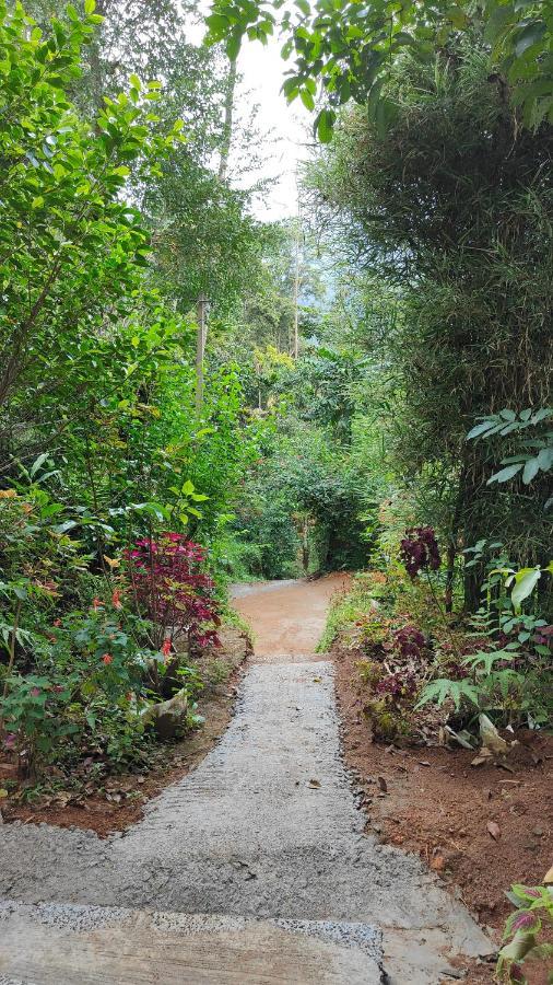Pepper County Farm Stay Munnar Exterior foto