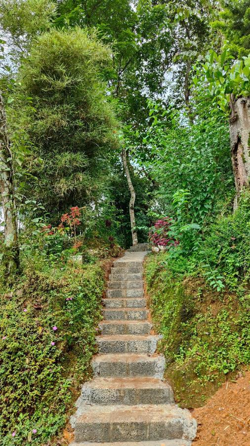 Pepper County Farm Stay Munnar Exterior foto