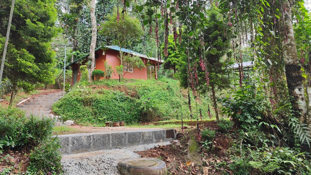 Pepper County Farm Stay Munnar Exterior foto