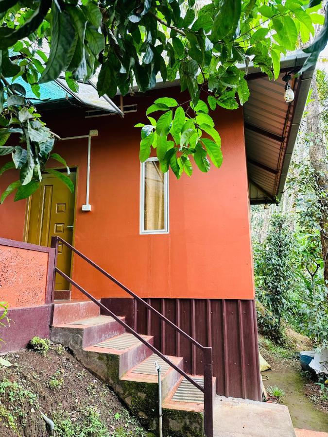 Pepper County Farm Stay Munnar Exterior foto