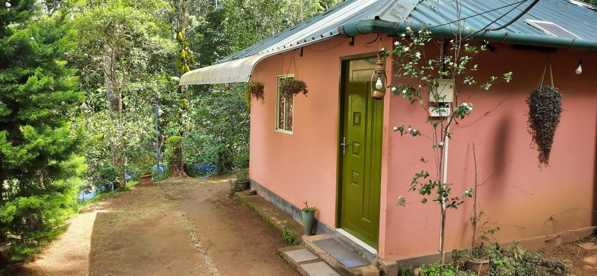 Pepper County Farm Stay Munnar Habitación foto