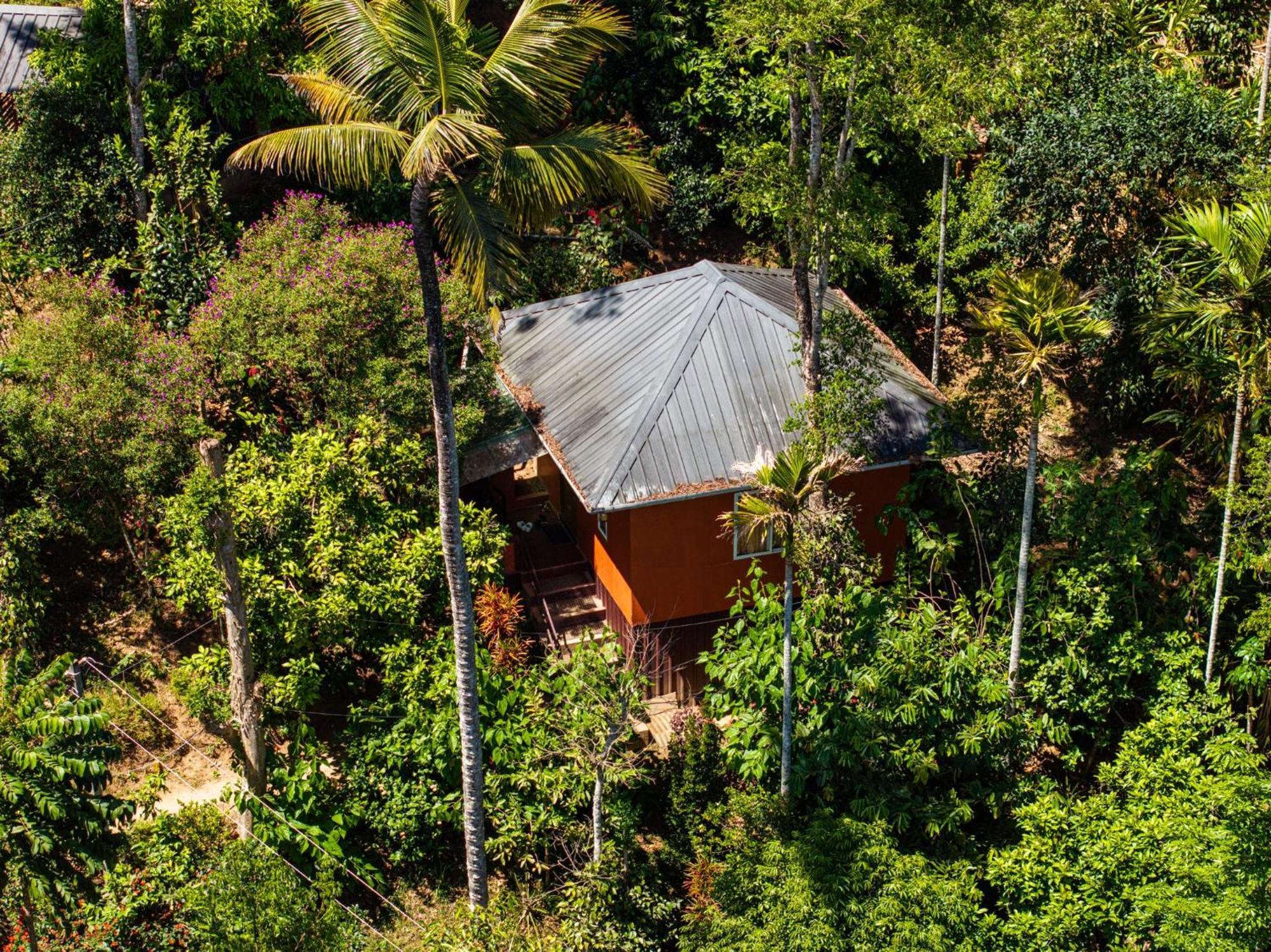 Pepper County Farm Stay Munnar Exterior foto