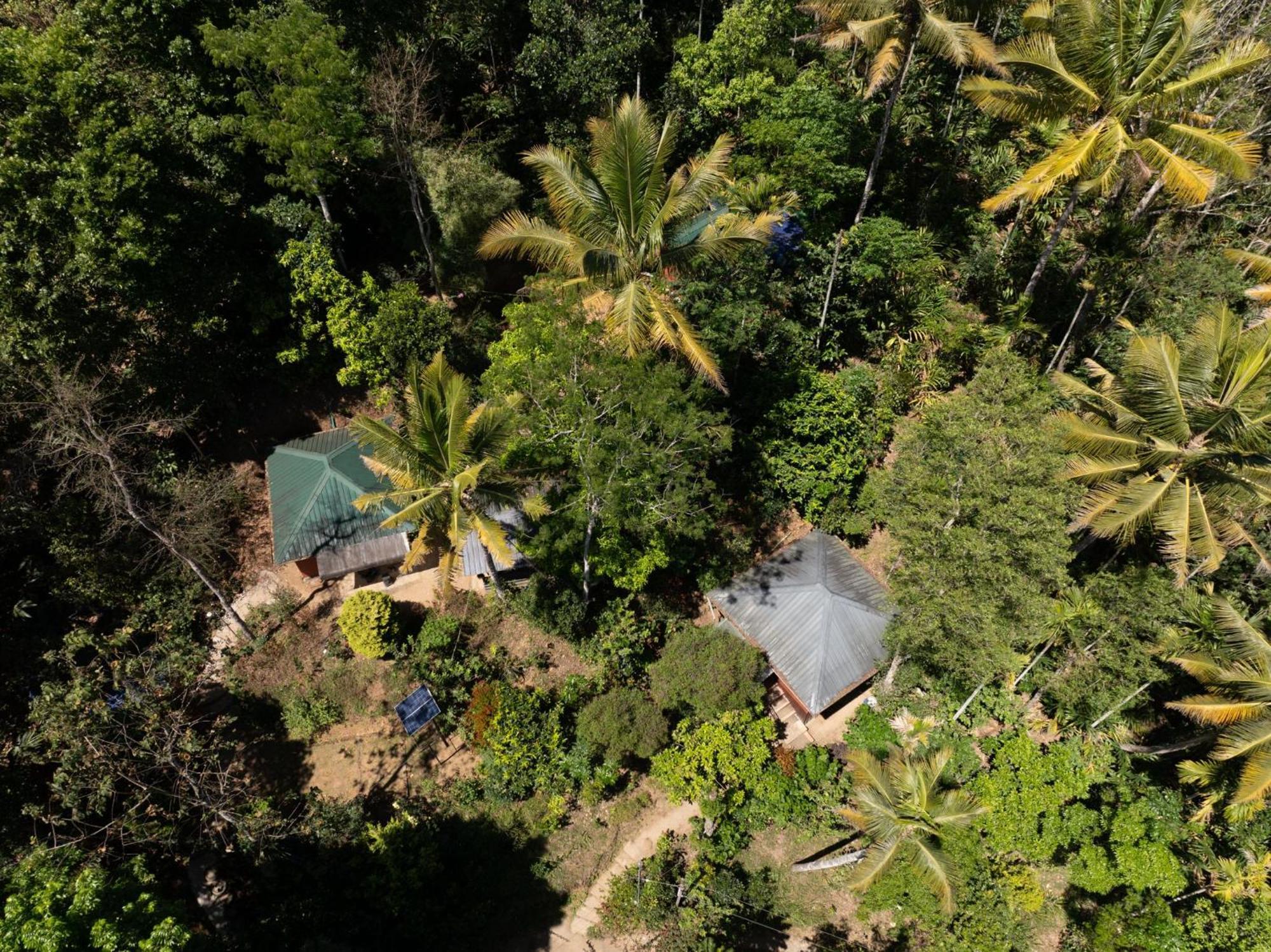 Pepper County Farm Stay Munnar Exterior foto