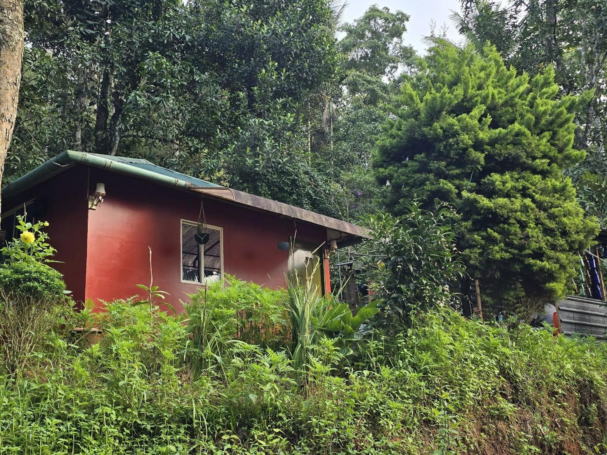 Pepper County Farm Stay Munnar Habitación foto