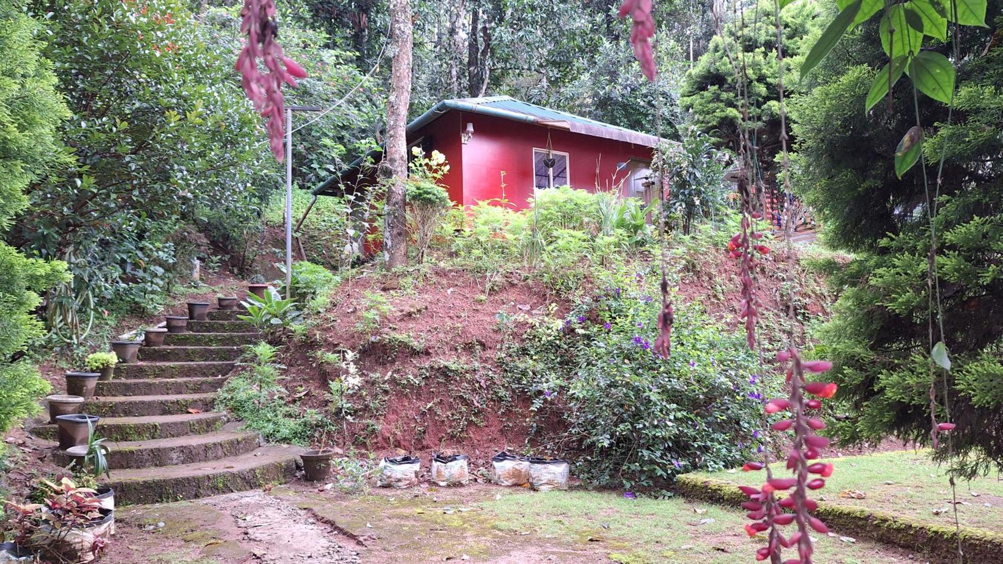 Pepper County Farm Stay Munnar Exterior foto