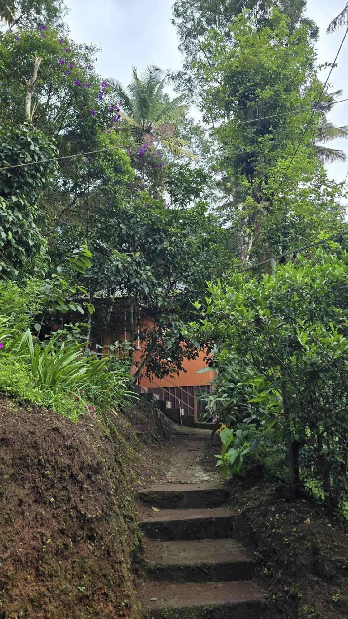 Pepper County Farm Stay Munnar Exterior foto