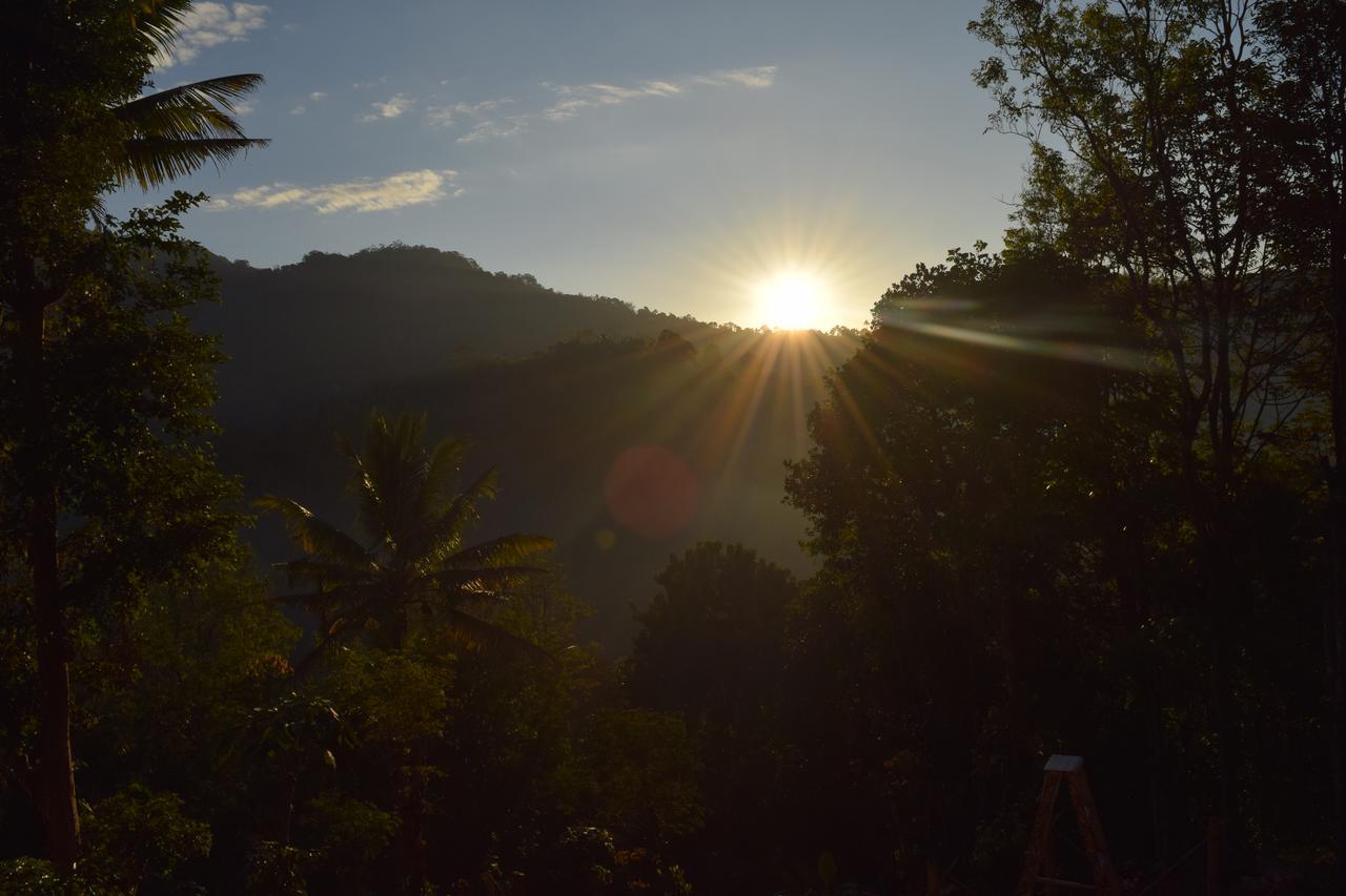 Pepper County Farm Stay Munnar Exterior foto
