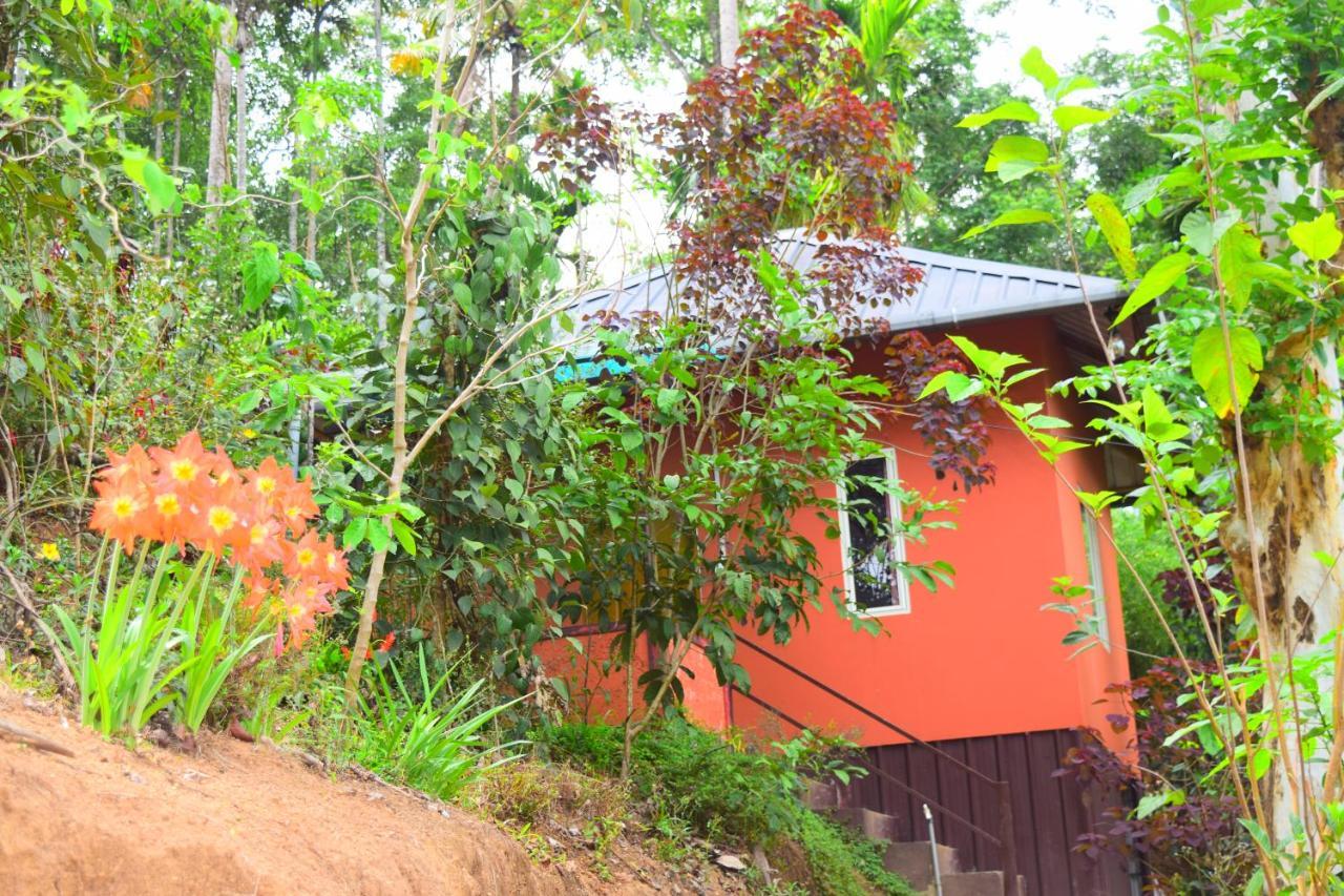 Pepper County Farm Stay Munnar Exterior foto